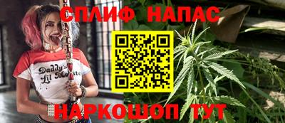 гидра Обнинск