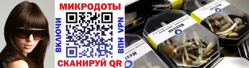 Псилоцибиновые грибы Psilocybe  hydra онион  Энгельс 