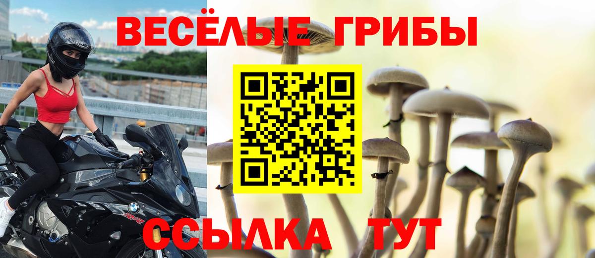 Псилоцибиновые грибы MAGIC MUSHROOMS  Псилоцибиновые грибы Magic Shrooms  Вход с VPN  Энгельс 